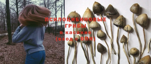 дмт Краснотурьинск