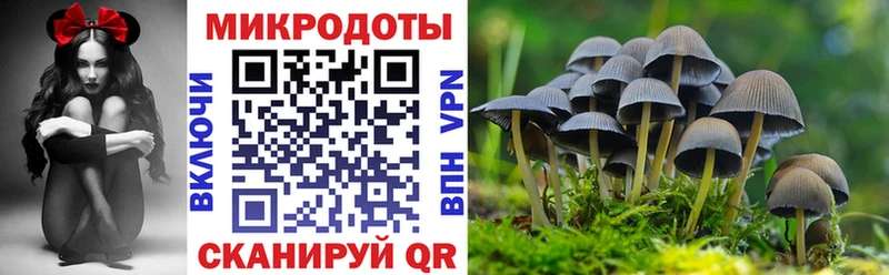 ссылка на мегу как войти  мориарти Telegram  Галлюциногенные грибы прущие грибы  Лагань 